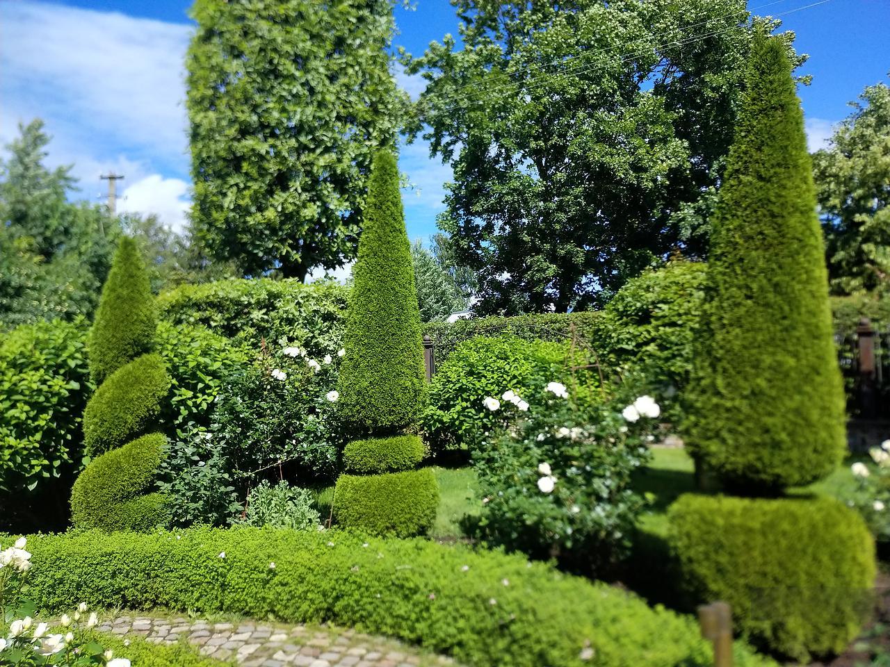 ���������