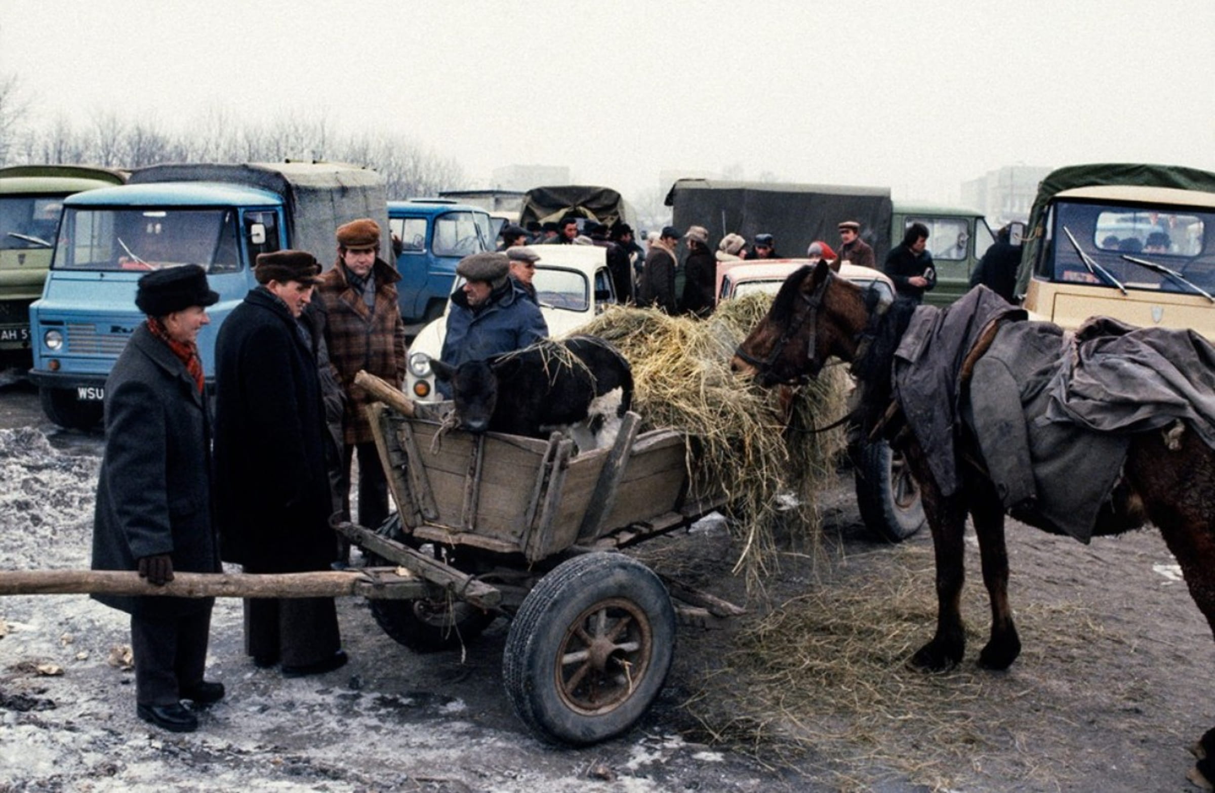 ���������