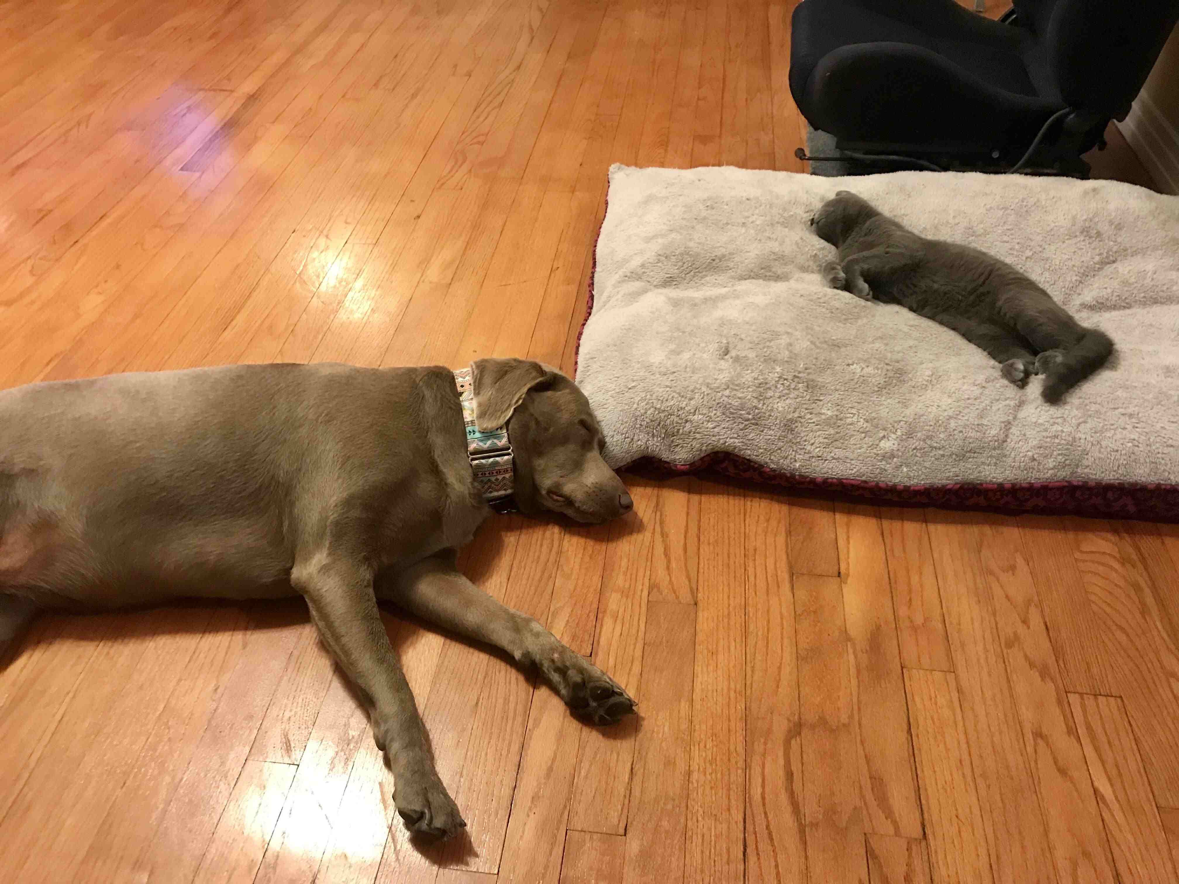 ���������