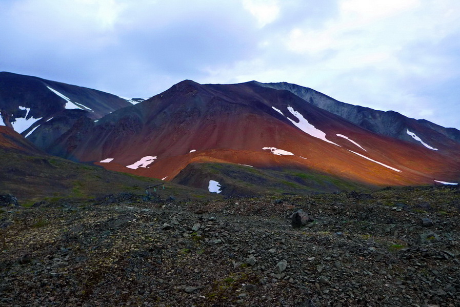 ���������