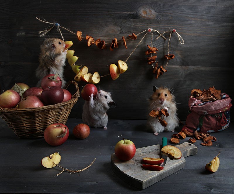 ���������