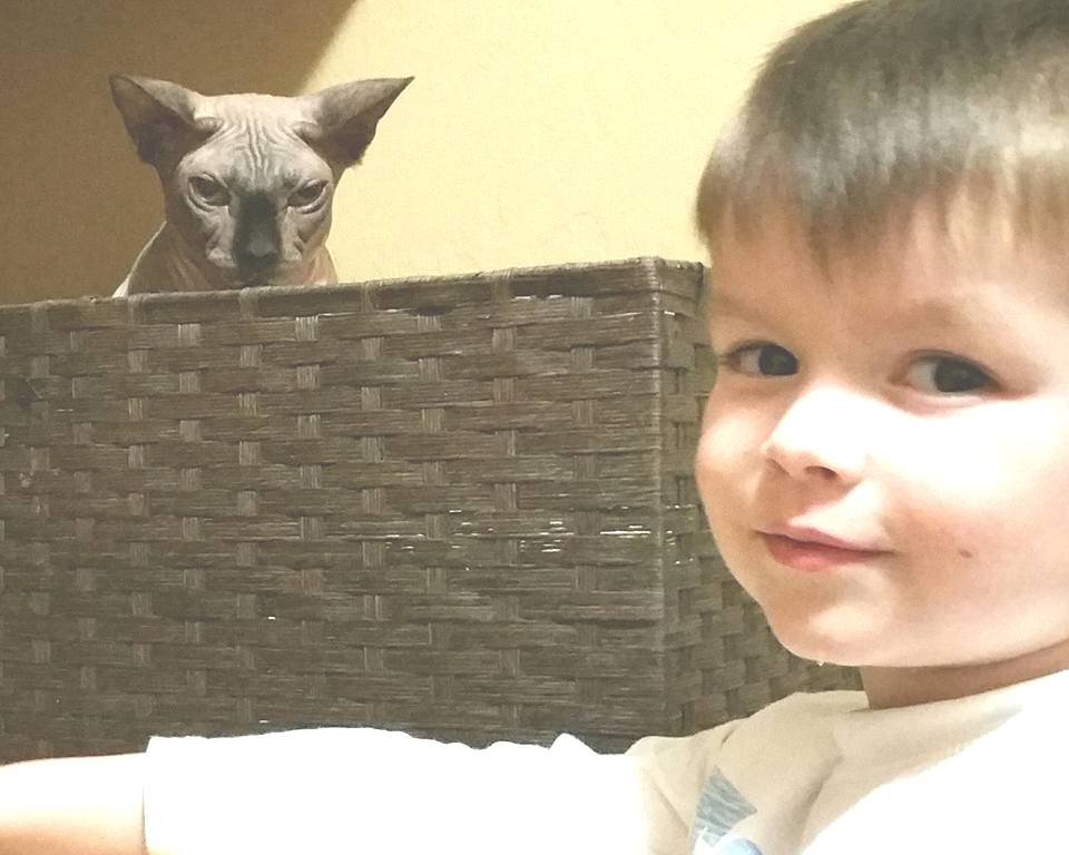 ���������