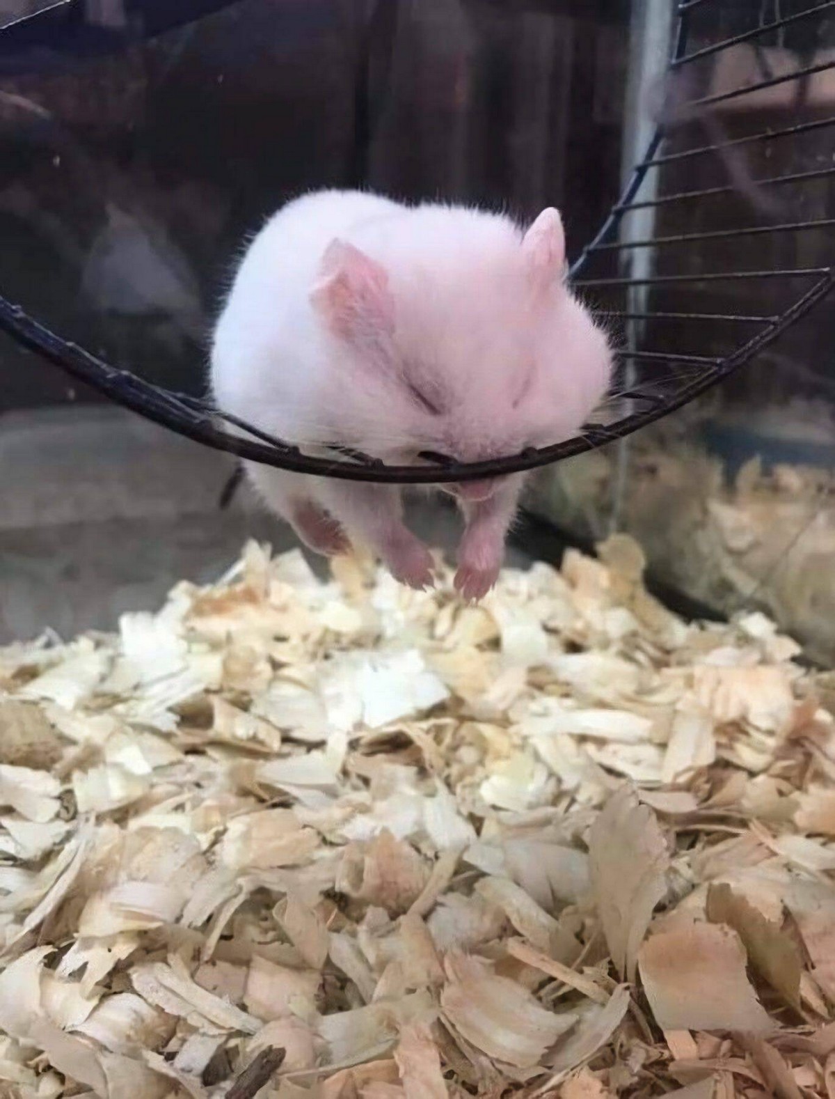 ���������