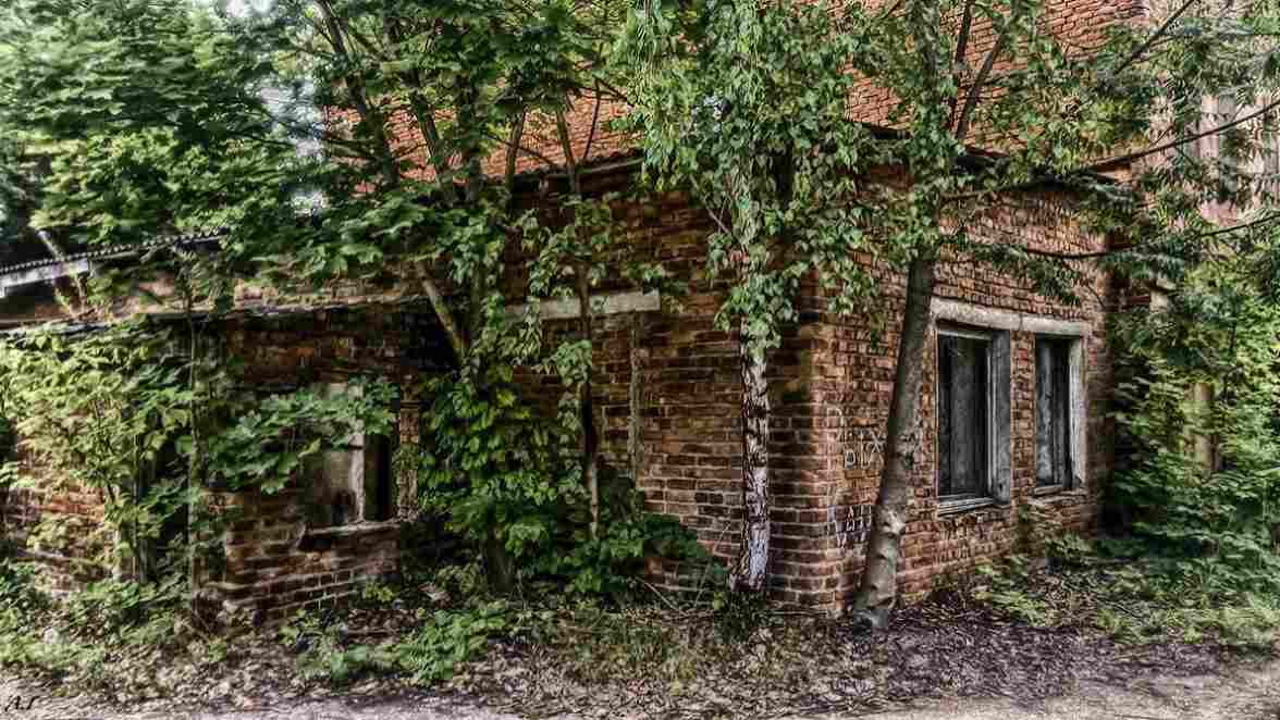 ���������