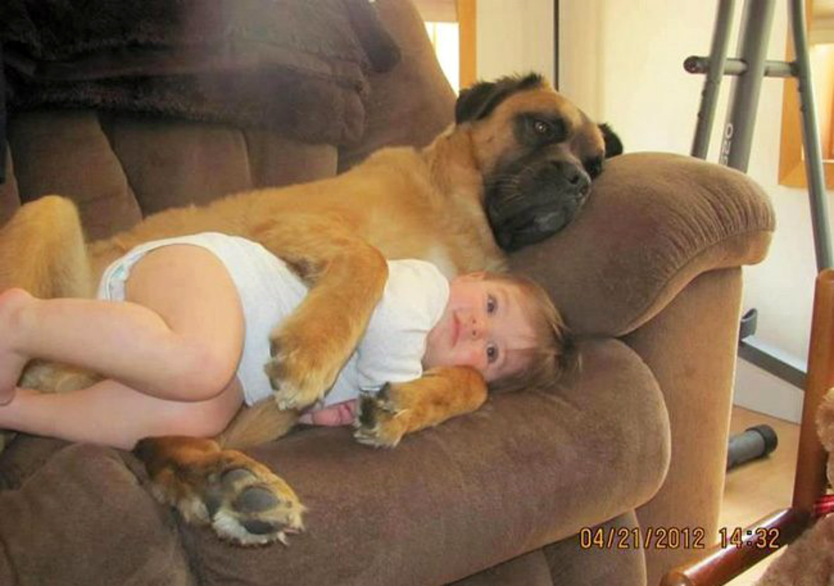 ���������