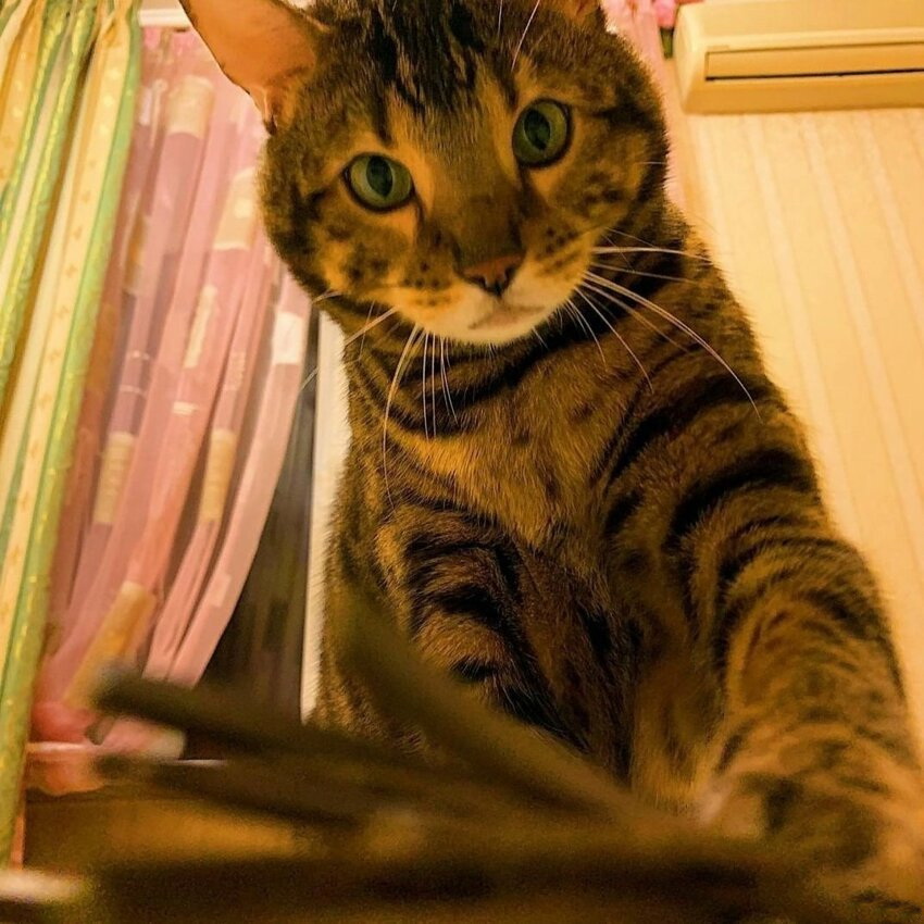 ���������