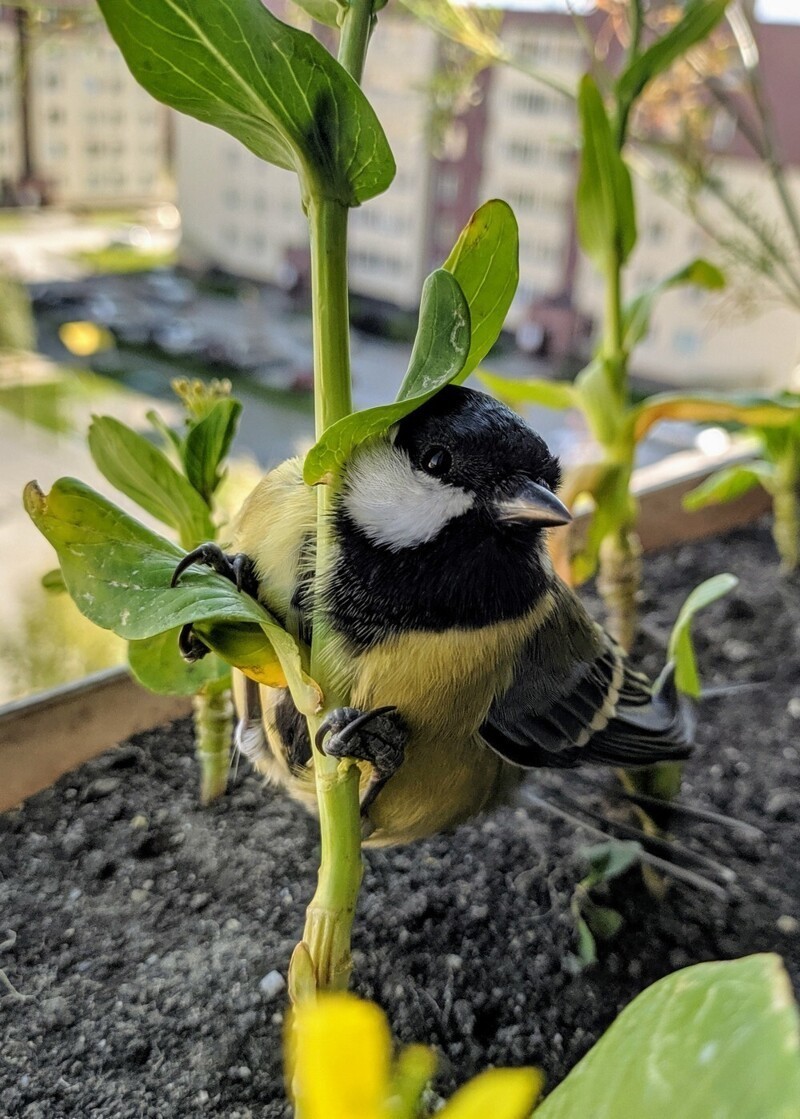 ���������