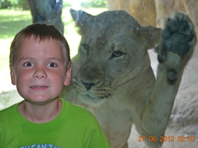 ���������