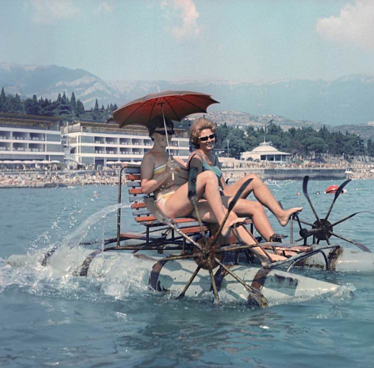 ���������