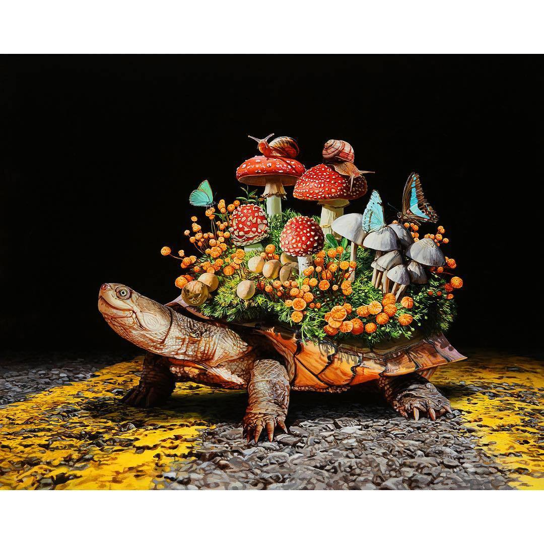 ���������