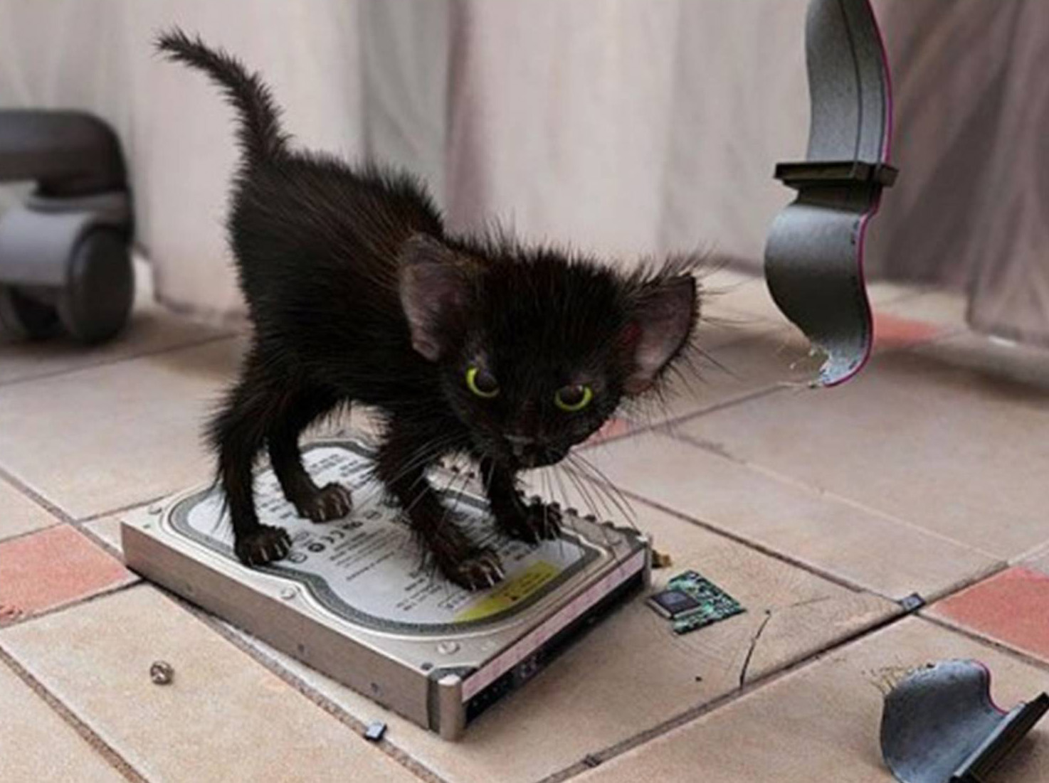 ���������