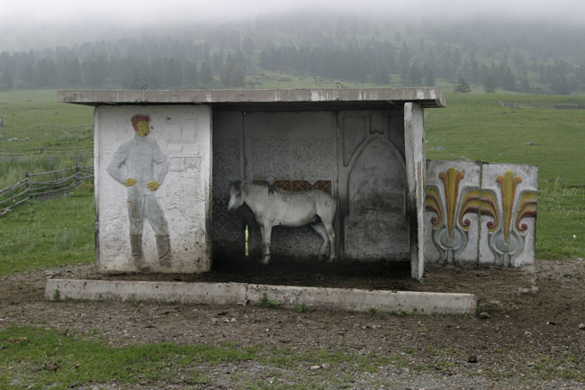 ���������