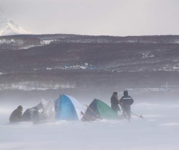 ���������