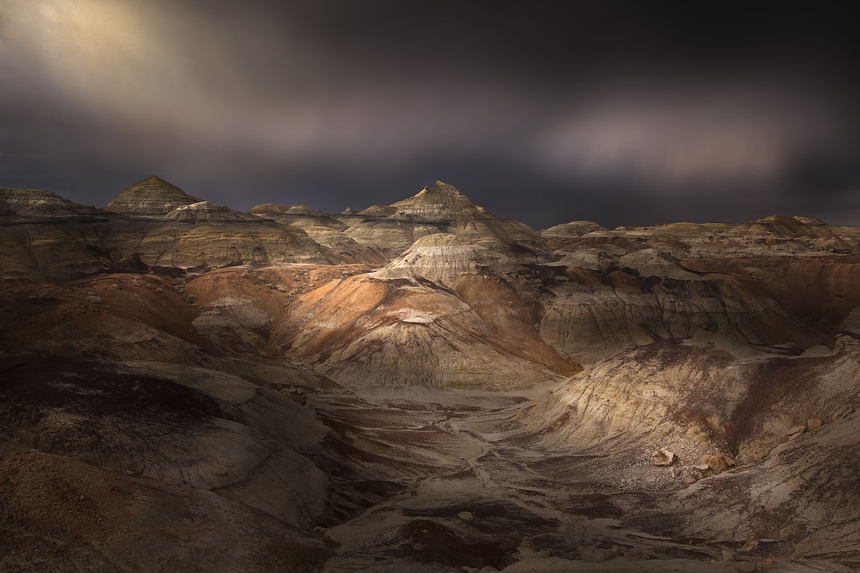 ���������