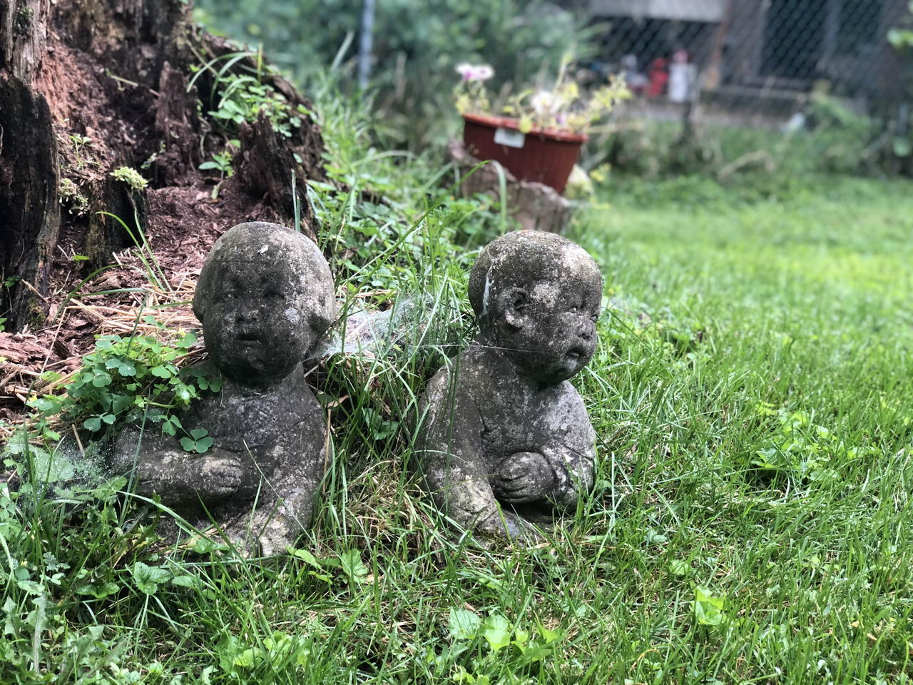 ���������