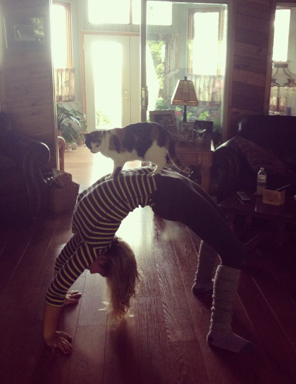 ���������