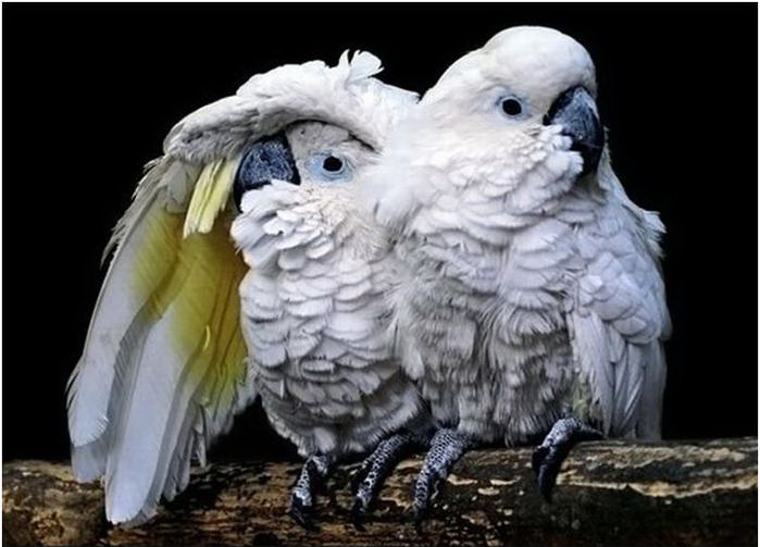 ���������