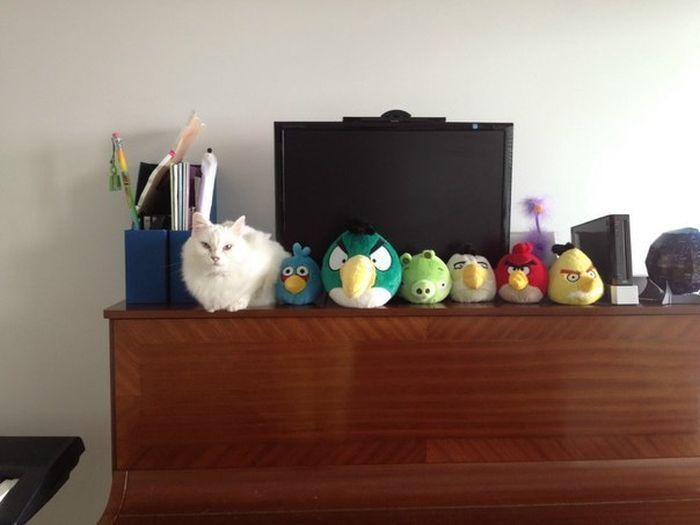 ���������