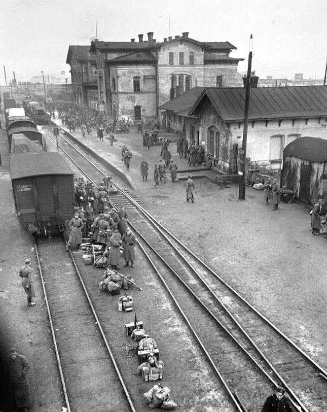 ���������