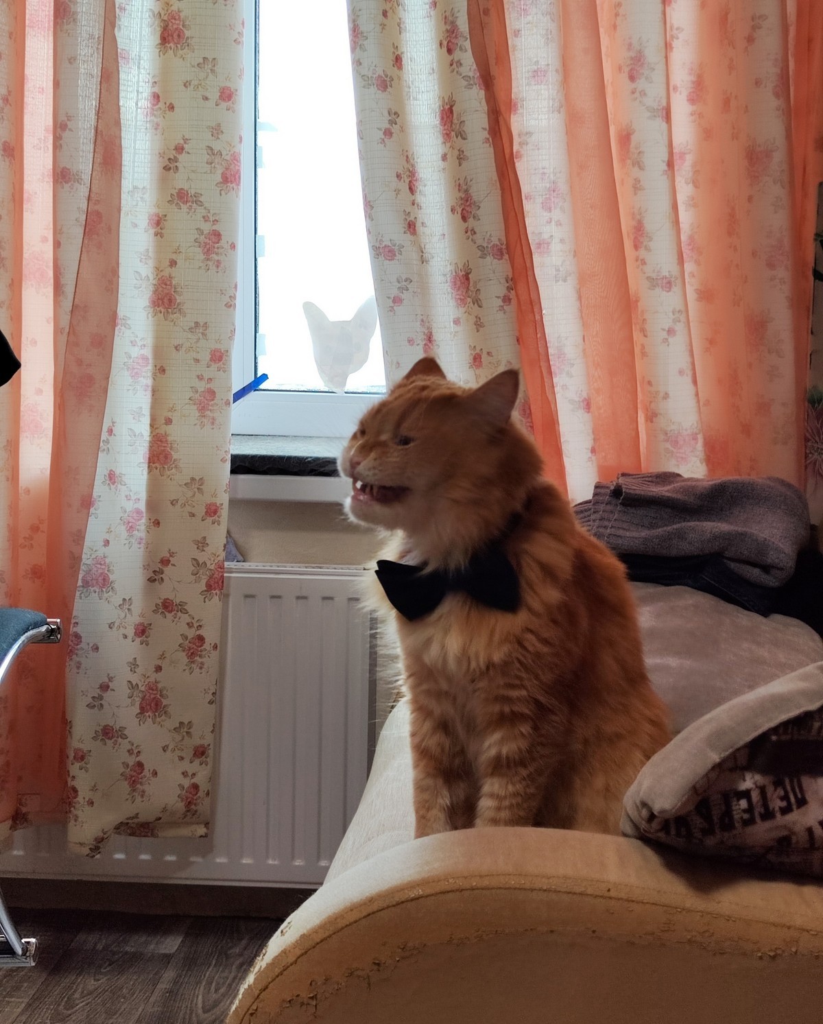 ���������