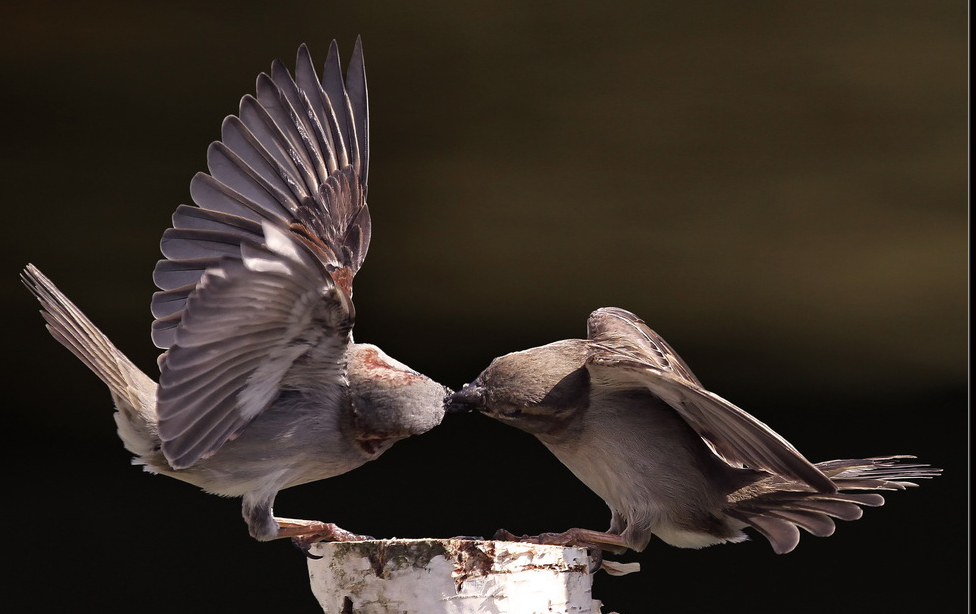 ���������