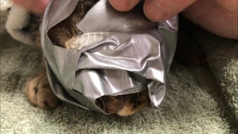 ���������