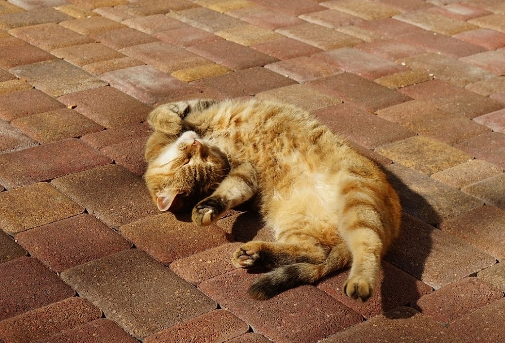 ���������