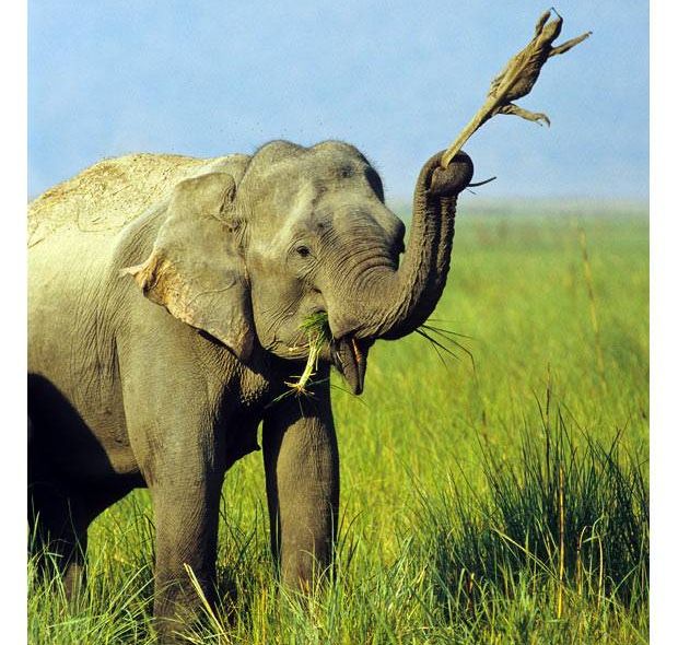 ���������