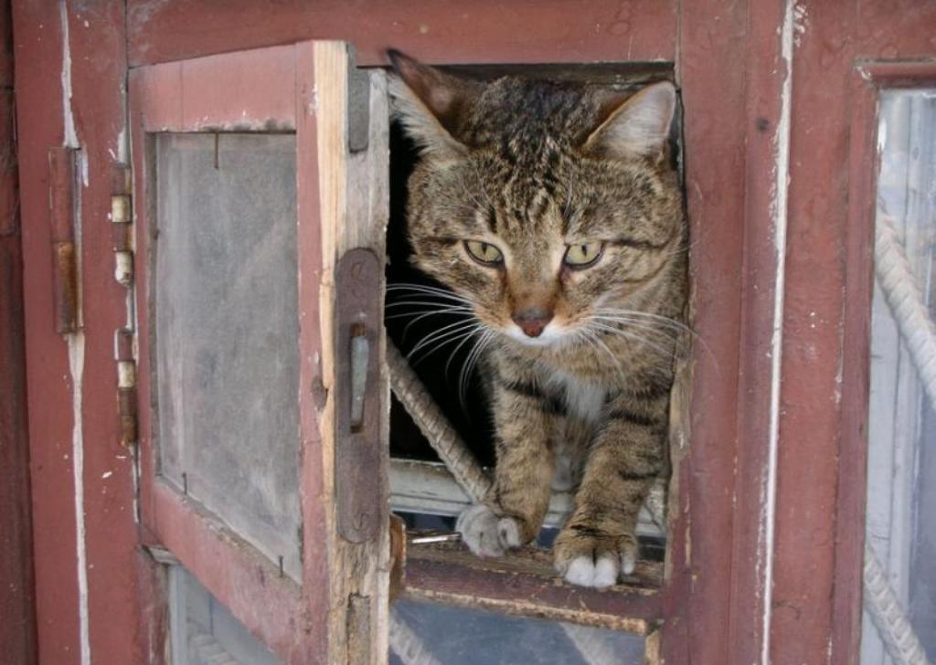 ���������