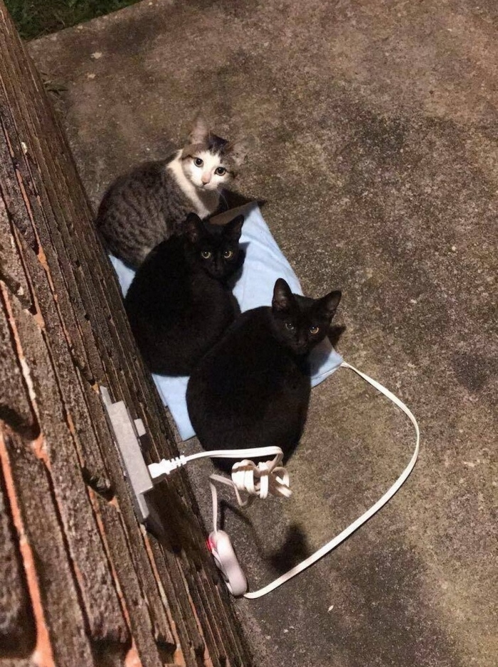 ���������