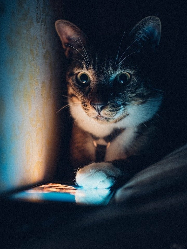 ���������