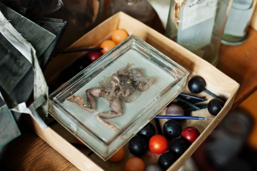 ���������