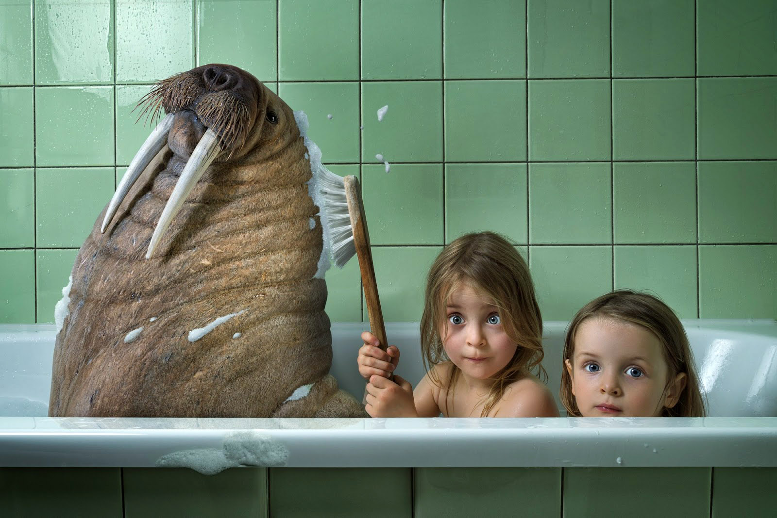 ���������