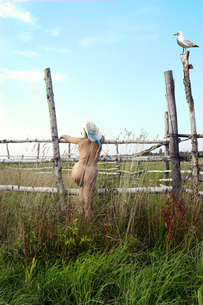 ���������