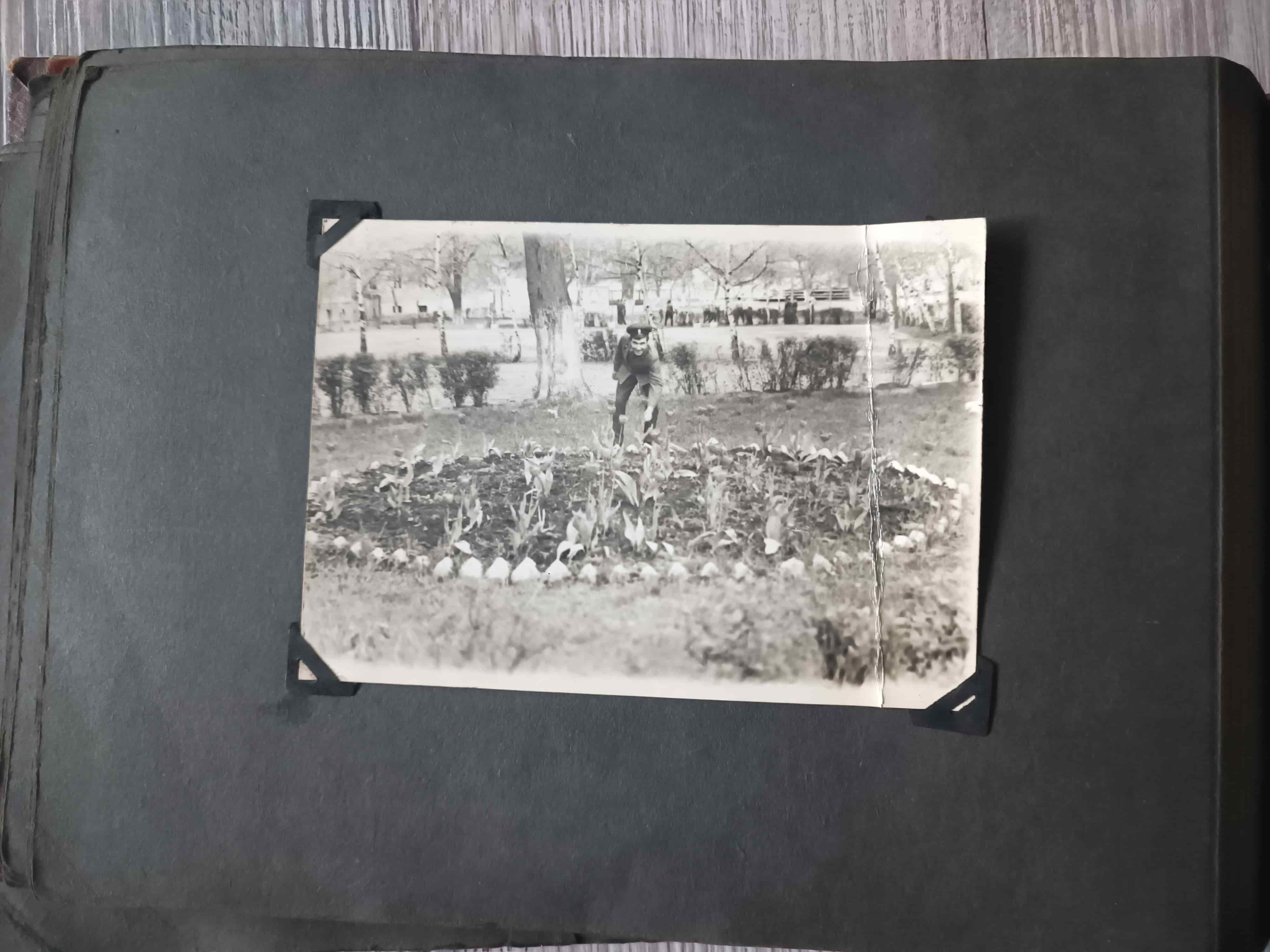 ���������