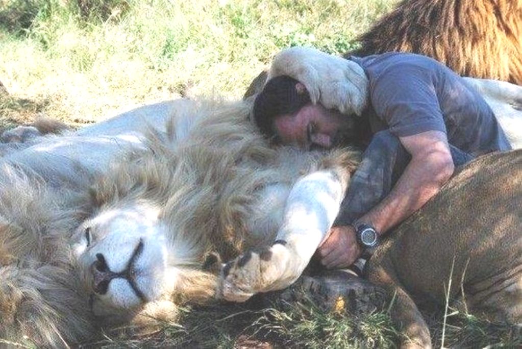 ���������