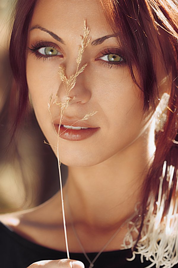 ���������