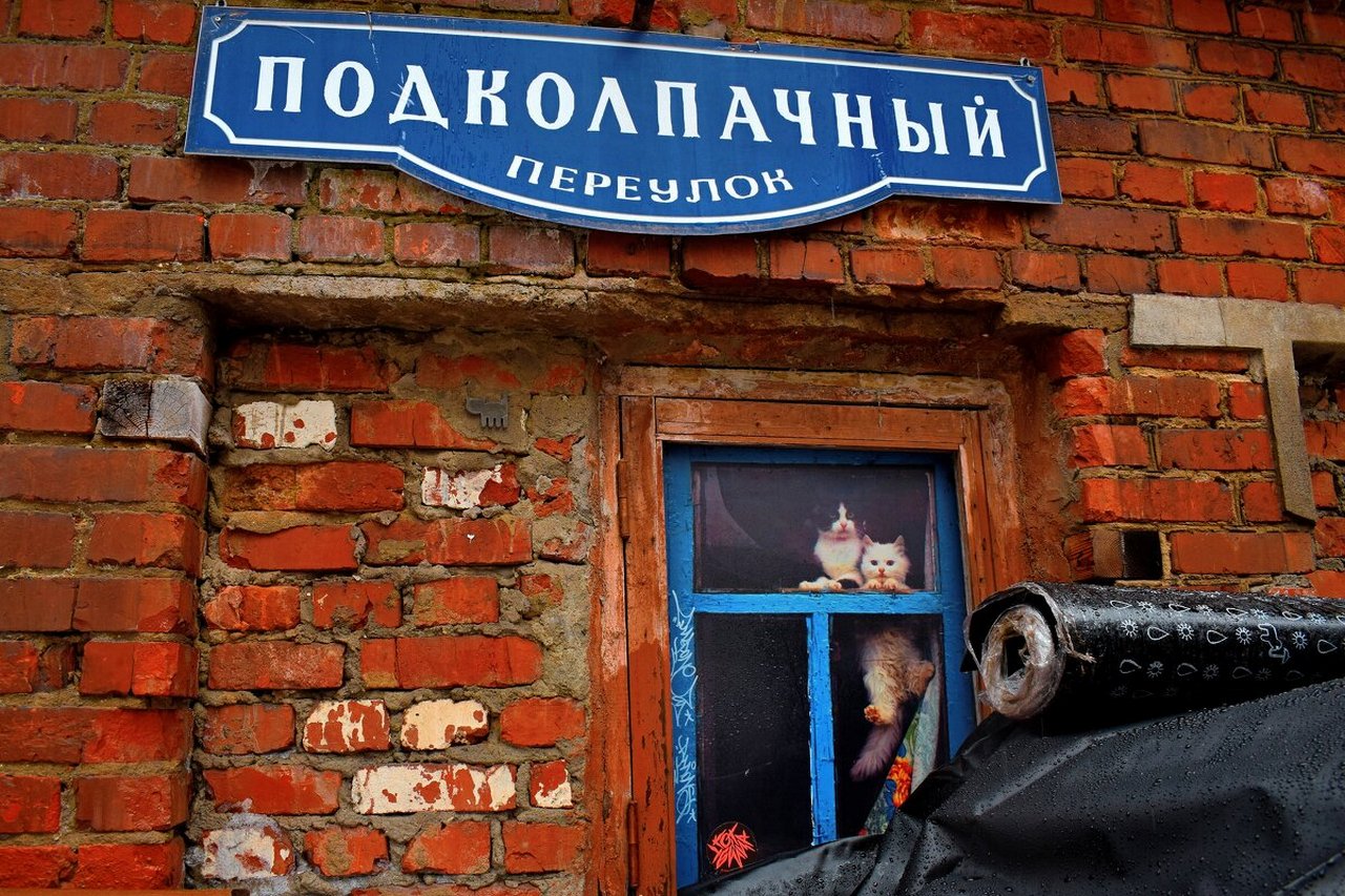 ���������