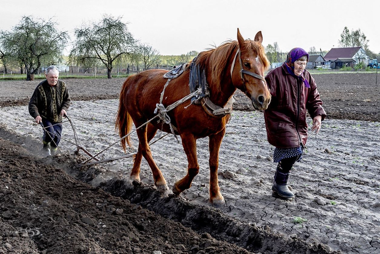 ���������