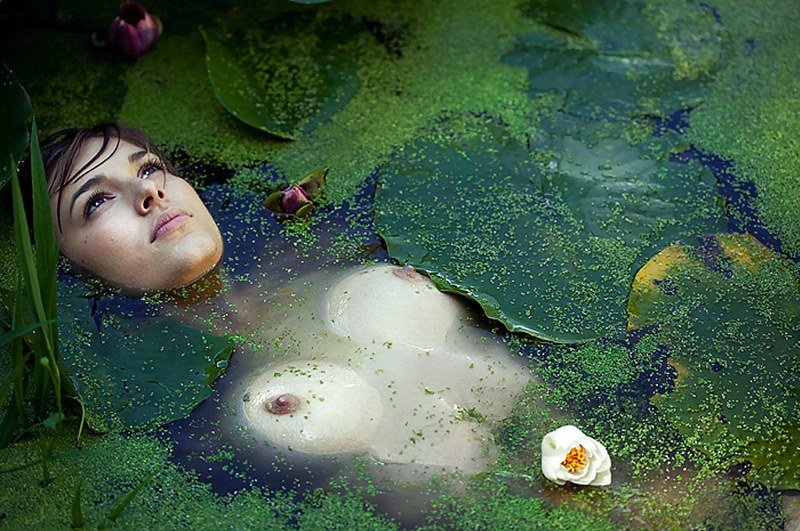 ���������