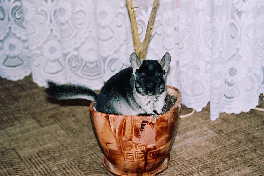 ���������