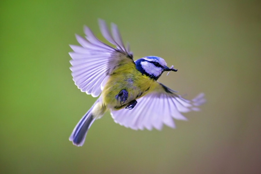 ���������