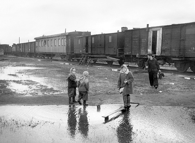 ���������