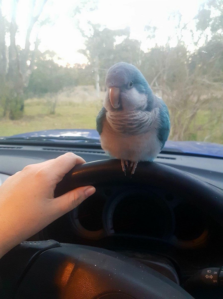 ���������