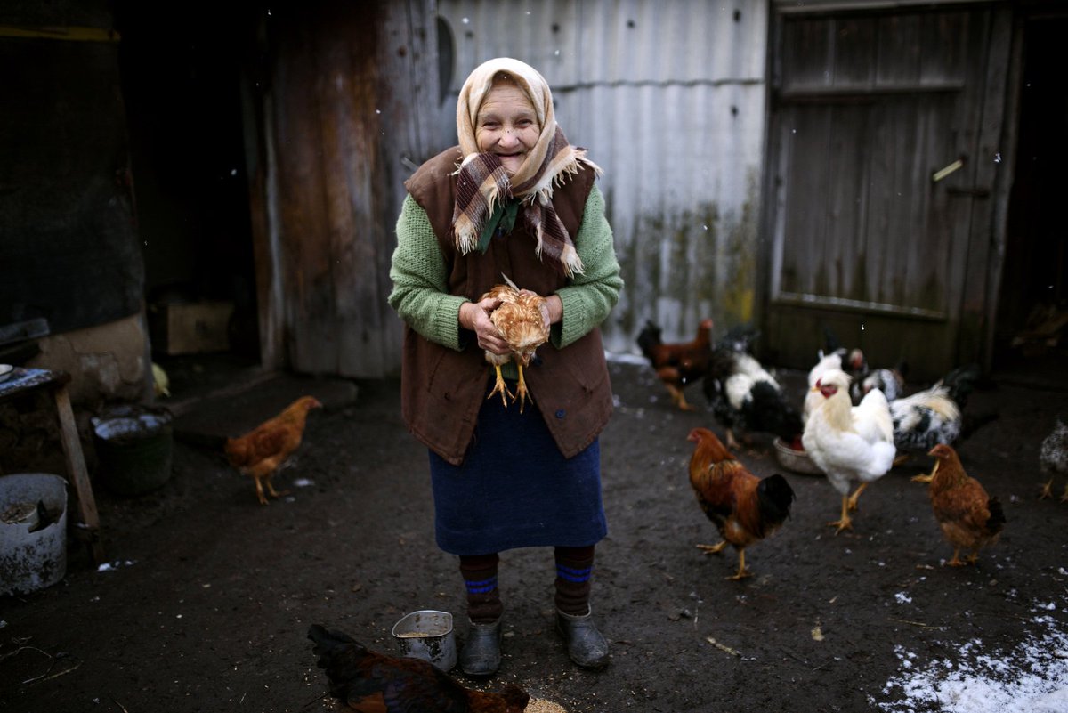 ���������