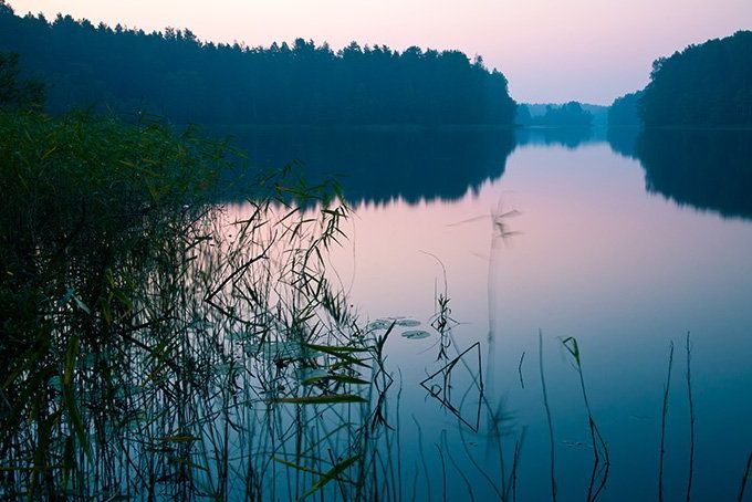 Увеличить Увеличить