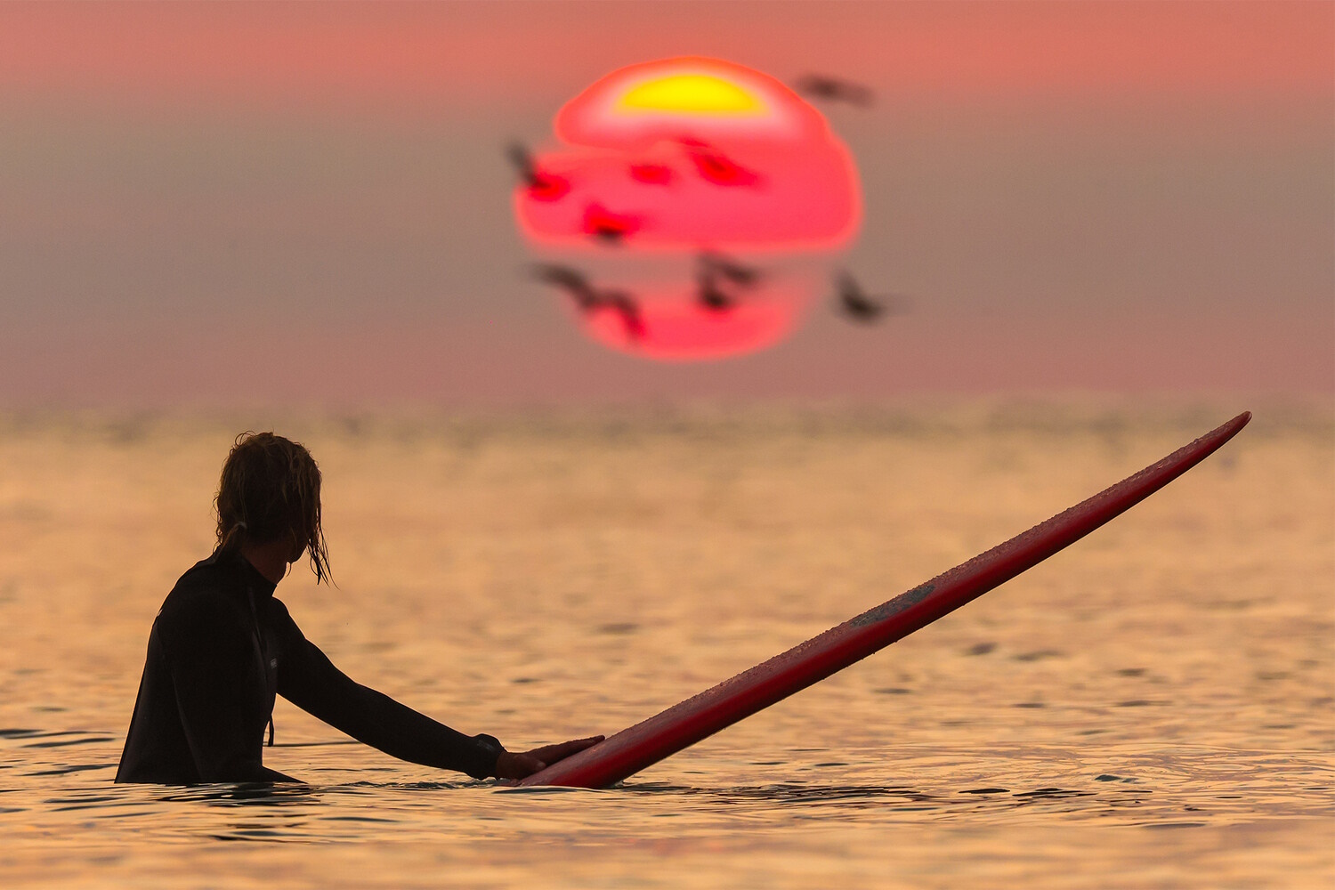 ���������