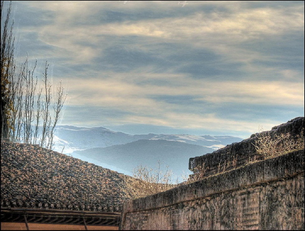 ���������