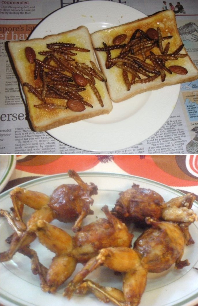 ���������