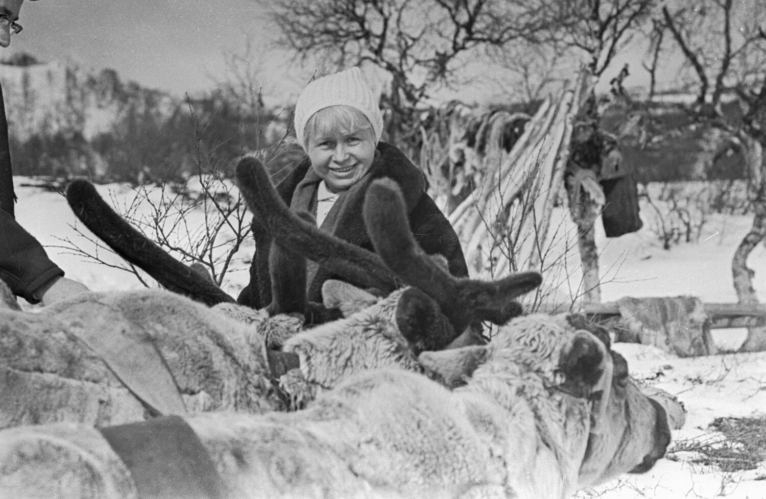 ���������